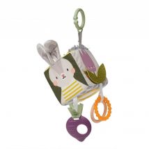 Taf Toys Urban Garden Activiteitenkubus