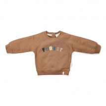 Little Dutch Sweater - Forest Brown