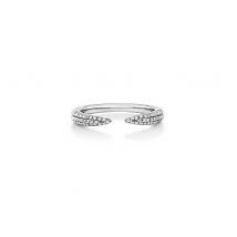 Claw Ring - Silver
