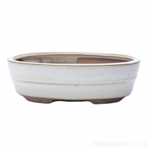 20cm Glazed Bonsai Pot | Oval | 20cm x 17cm x 5cm | White