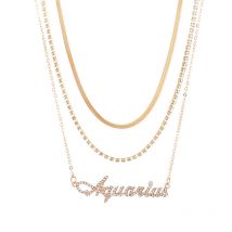 Layered Diamond Necklace Snake Bone for Woman Jewelry Aries Pendant Choker Necklaces, Aquarius