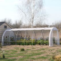 Steel Frame White Outdoor Walk-in Tunnel Greenhouse