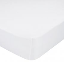 Basic 200 tc Bajera Blanco