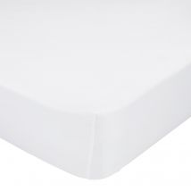 Basic Bajera Blanco