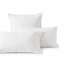 Basic percal Funda de almohada Blanco