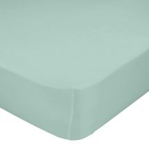 Basic Bajera Menta