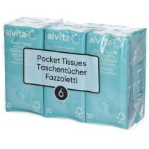 Alvita Tissues Pocket Pack 6x10