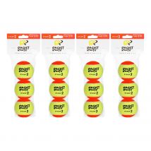 Racket Roots Zak met 3 stuks 4x RR Stage 2