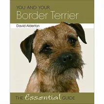 You and Your Border Terrier - The Essential Guide By David Alderton
