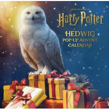 Harry Potter Hedwig Pop Up Advent Calendar Collection 25 Day Countdown To Magical Papercraft