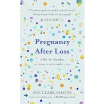 Pregnancy After Loss: A Day-By-Day Plan To Reassure And Comfort You For Expectant Parents Book