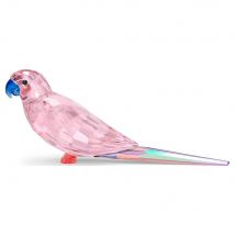 Swarovski Jungle Beats Pink Parakeet
