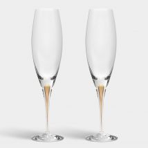 Orrefors Intermezzo Gold Champagne Glasses (Set of 2)