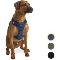 Jake und Jacky Hundegeschirr - Anti-Zieh-Geschirr - Hundegeschirr - Y-Geschirr Hund - Reflektierend - Blau - Größe L