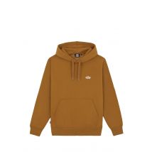 DICKIES - Felpa Uomo Marrone