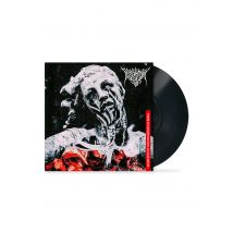 Predatory Void - Seven Keys To The Discomfort Of Being - Vinyl