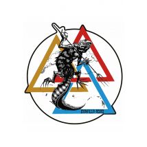 Manilla Road - The Deluge/Shadow In The Black/Divine Victim Ltd. - Picture Vinyl