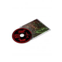 Ripped To Shreds - Sanshi - CD