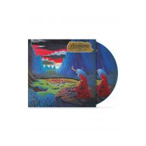 Ashbury - Endless Skies Ltd. - Picture Vinyl
