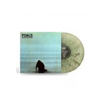 Foals - What Went Down Ltd. Clear/Black - Colored Vinyl