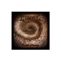 Crocell - Swarm Of Insects - Digipak CD