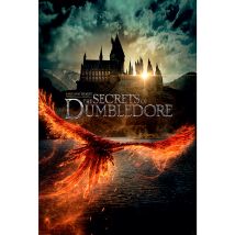 Fantastic Beasts - Movie Poster Maxi - Poster
