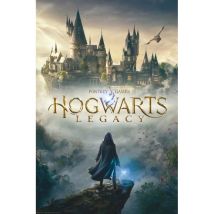 Harry Potter - Hogwarts Legacy Key Art Maxi - Poster - multicolore - Onesize - 170g/m²