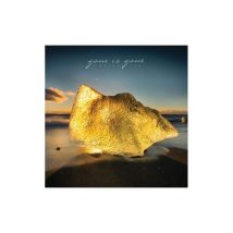 Gone Is Gone - Echolocation - CD