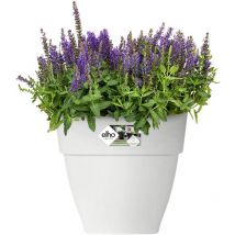Elho Vibia Campana Vierkant 37 - Bloempot voor Buiten - Ø 36.4 x H 35.6 cm - Wit