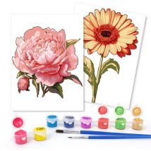 Rubye® Schilderen Op Nummer Volwassenen – Roos & Zonnebloem – Inclusief Verf en Penselen – Canvas Schildersdoek - Kleuren op Nummer - Dubbele Set - 15x20cm
