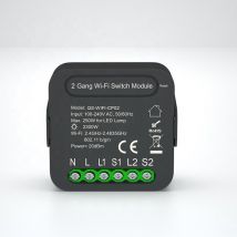 Module Double Interrupteur WiFi Noir - SILAMP