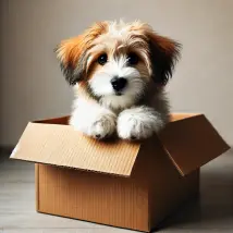 Mystery Dog Treats & Toy Surprise Bundle