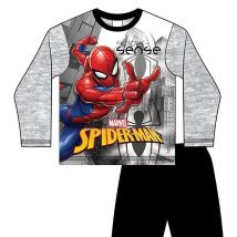 Boys Spiderman Pyjama Set Light Grey And Black - Age 2-3