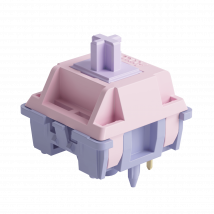 Akko Switches (45pcs)