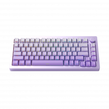MonsGeek M1W SP