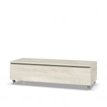 Cassettiera ASTRA L.120 P.45 H.32 cm colore rovere alaska