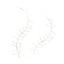 LED-Lichterkette Lumineo 6 W 5 m 12 m