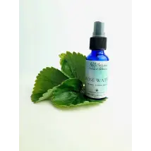 Melitta Meszaros Rose Water 30ml