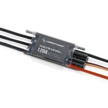 Hobbywing Variateur Seaking PRO 120A