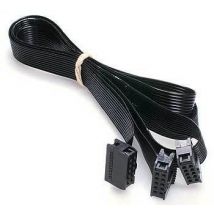 Robitronic Cable Pour Module de Comptage RS166