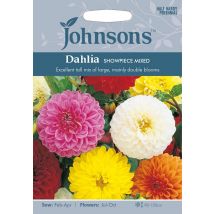 Johnsons Dahlia Showpiece Mixed Seeds