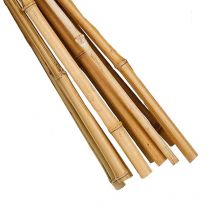 8 Pack 7 Foot Garden Canes