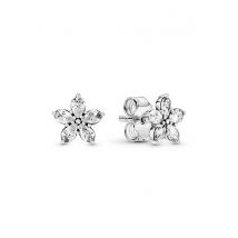 Boucles d'oreilles pour femmes pandora 299239c01