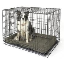 Double Door Dog Crate- Large