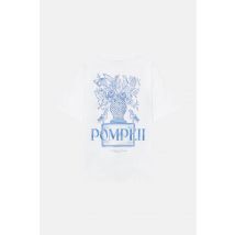 Pompeii, T-shirts, Wit, Heren, Maat: XL