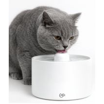 Abreuvoir en céramique Jake & Jacky Chat et Chien - 2L - 19x19x13.6 cm - Blanc cassé