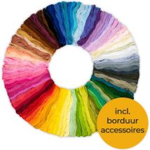 Saaf Fil à broder - 100 couleurs - Accessoires inclus - Kit de broderie adultes - Broderie - Hobby
