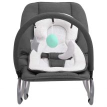 Balançoire pour bébé VidaXL - avec ceinture de sécurité - Anthracite - 77 x 46 x 58 cm