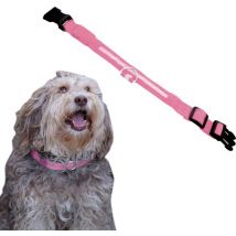 Dutchwide Collier lumineux pour chien - Extra fort - L 41 cm à 52 cm - Collier pour chien - Collier à mousqueton - Ajustable - Réfléchissant