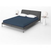 Beau Maison Drap-housse en coton Jersey bleu - 60 x 120 cm